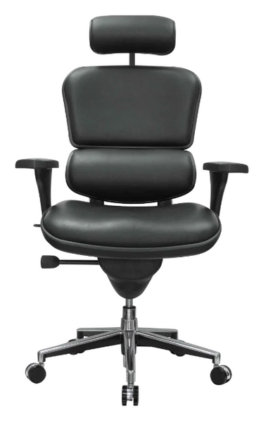 Ergohuman Leather Chair with Headrest