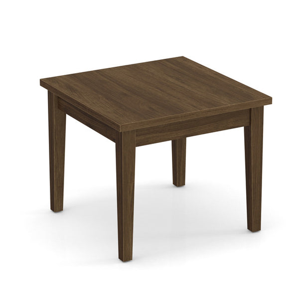 PARALELL End Table