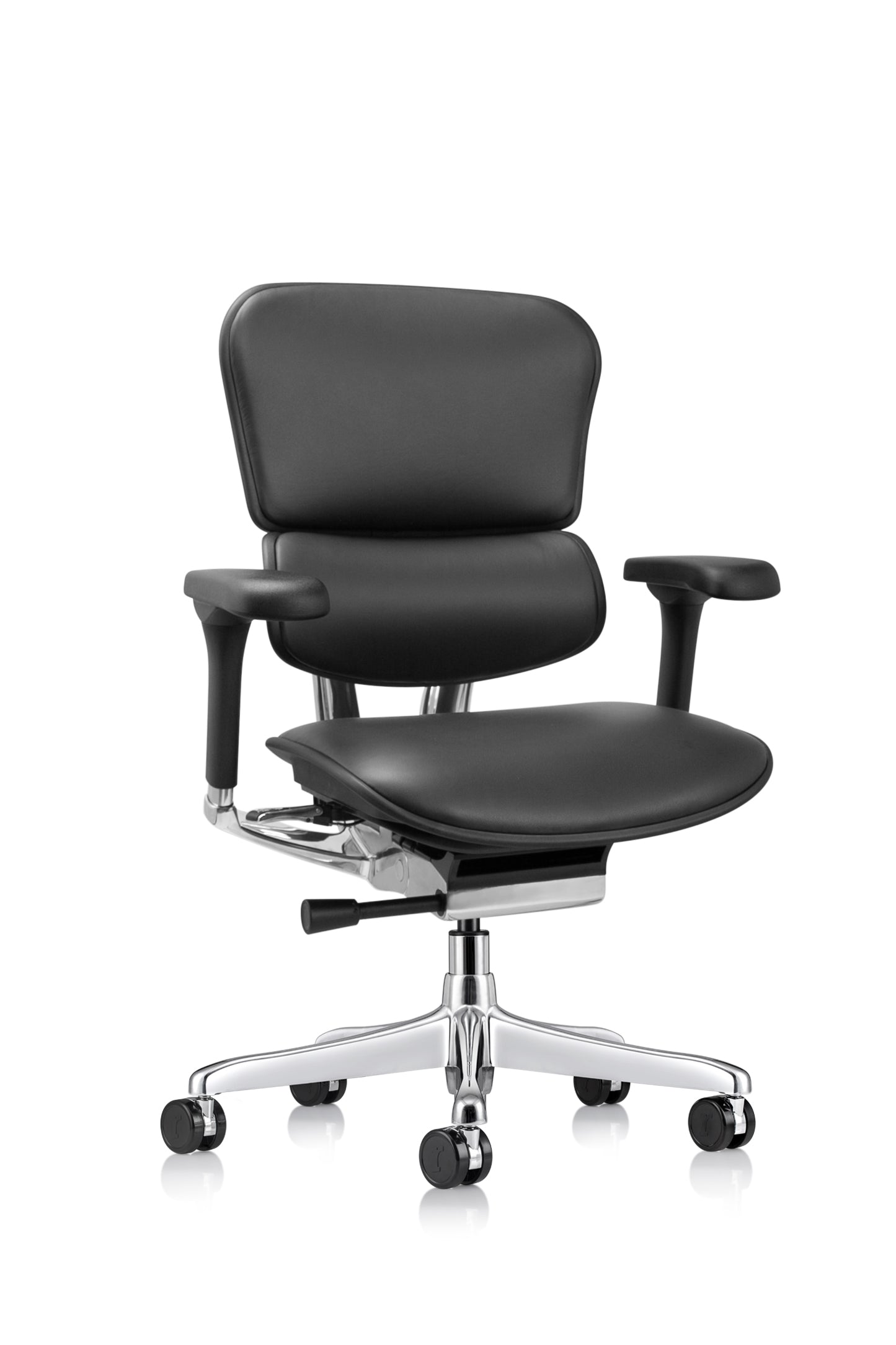 Ergohuman Chairs