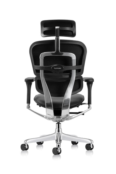 Ergohuman Leather Chair with Headrest